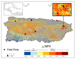 Hurricane-induced rainfall is a stronger predictor of tropical forest damage in Puerto Rico than maximum wind speeds